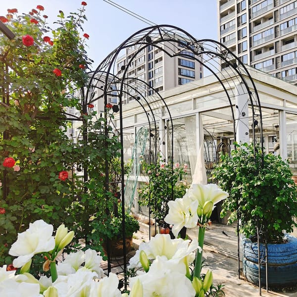 Gothic Elegance 98.4 in. x 59 in. Galvanized Iron Gothic