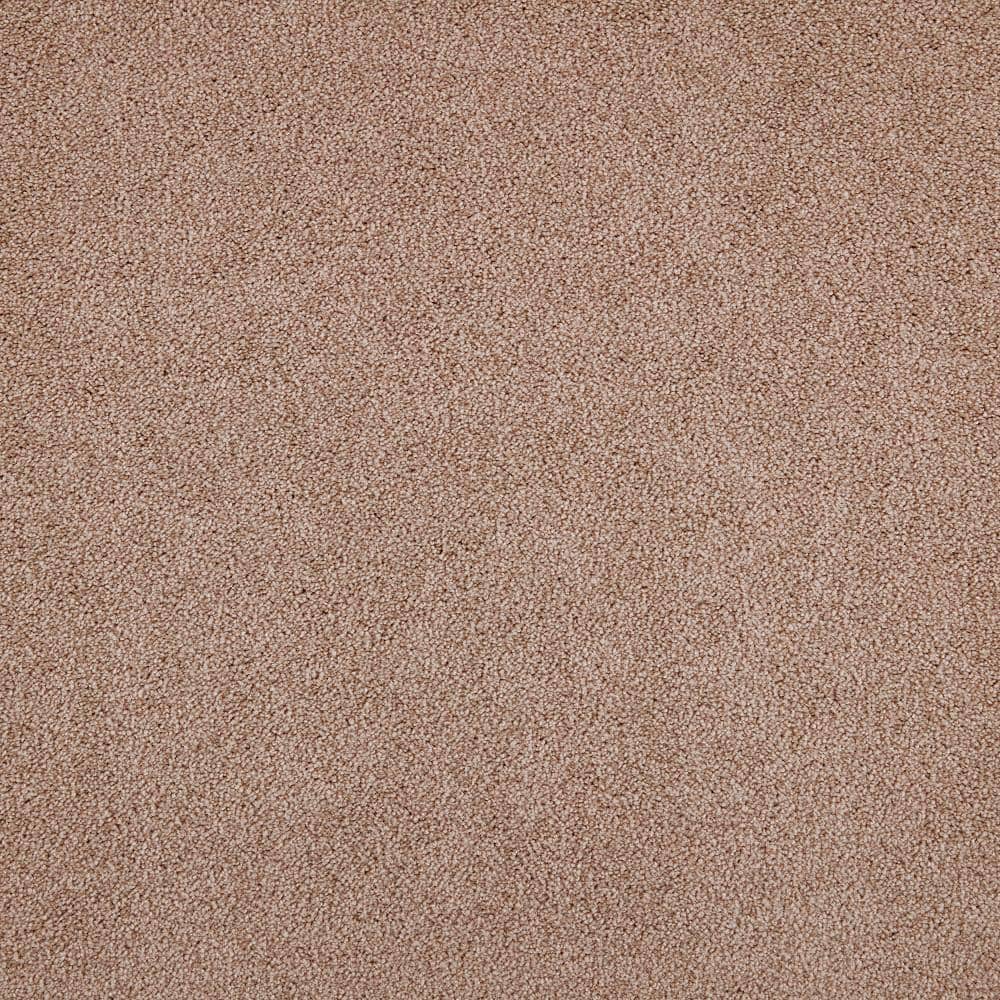 8 in. x 8 in. Texture Carpet Sample - Playful Moments II (S) -Color Serendipity price history on PriceWatchPro