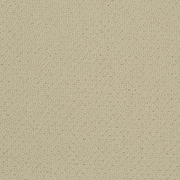 Mohawk 8 in. x 8 in.  Pattern Carpet Sample - Cliffmont - Color Corinthian