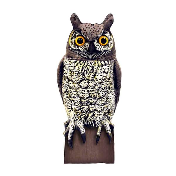 Aspectek VisualScare Molded Owl Scarecrow Bird Repellent