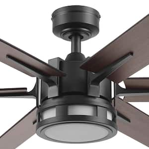 Kaliza 60 in. Indoor/Outdoor Black Modern Color Changing LED Ceiling Fan with Remote Control
