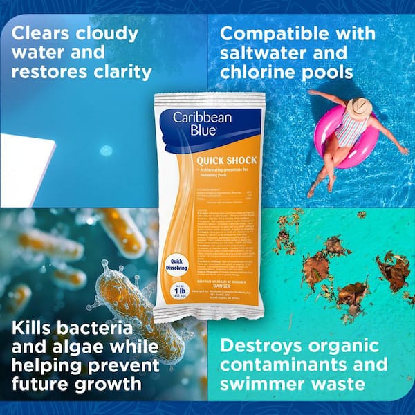 16 oz. Quick Dissolving Concentrated Pool Shock (1-Pack)