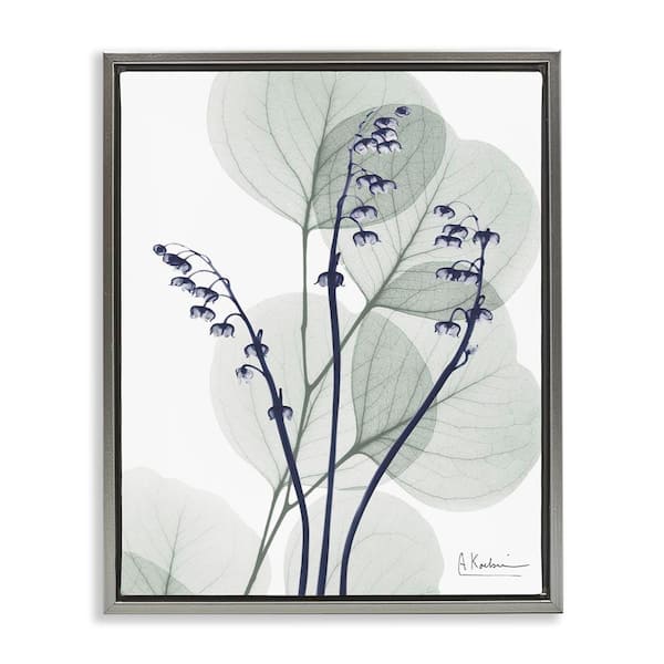 Stupell Industries Serene Modern Eucalyptus by Albert Koetsier Gray Floater Frame Nature Graphic Art Print 31 in. x 25 in.