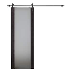 Avanti 202 32 in. x 80 in. Full Lite Frosted Glass Black Apricot Wood Composite Sliding Barn Door with Hardware Kit