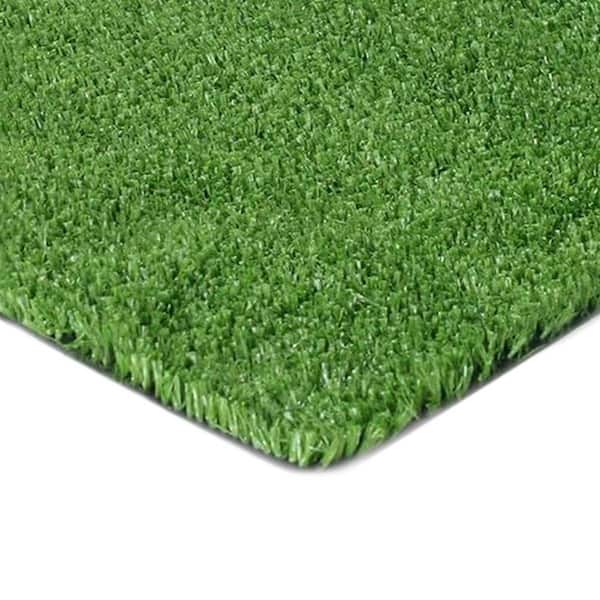 Multipurpose Pet Turf 12 ft. W x Cut to Length Green Artificial Grass Turf