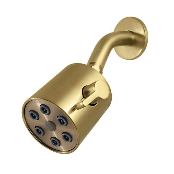 Shower Scape 2-Spray Pattern 2.81 in. Wall Mount Rain Spray Adjustable Fixed Shower Head in Brushed Brass