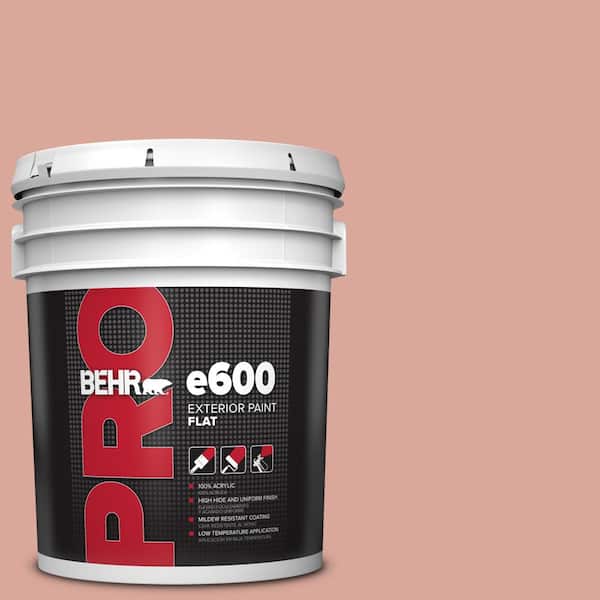 BEHR PRO 5 gal. #PMD-70 Cottage Rose Flat Exterior Paint PR61005 - The Home  Depot
