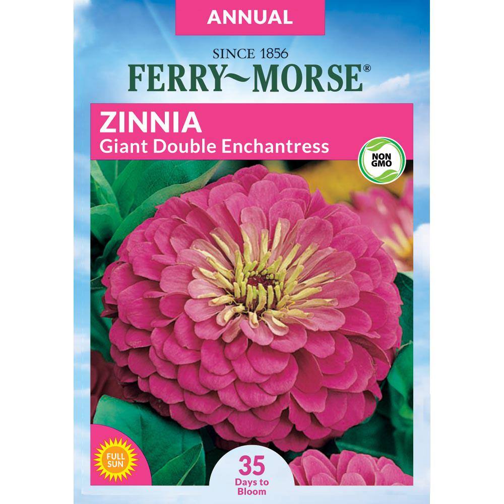 Ferry-Morse Zinnia Giant Double Flowered Enchantress Flower Seeds