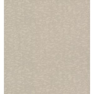 Weathered Cypress Taupe Matte Paper Non-Pasted Wallpaper