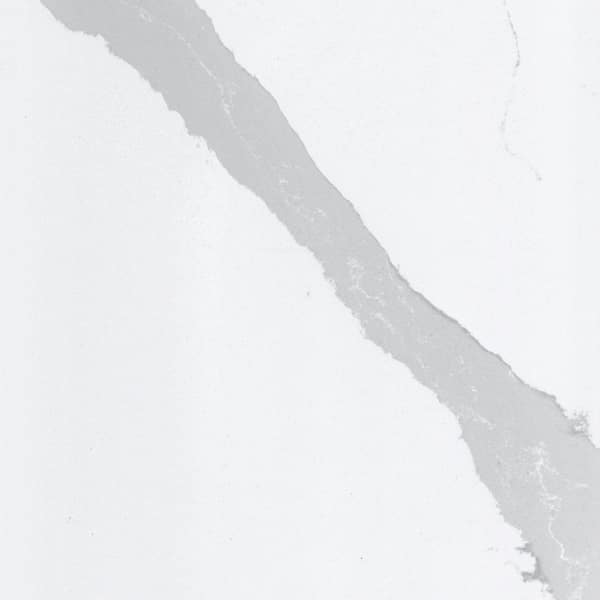 Silestone 4 in. x 6 in. Quartz Countertop Sample in Bianco Calacatta