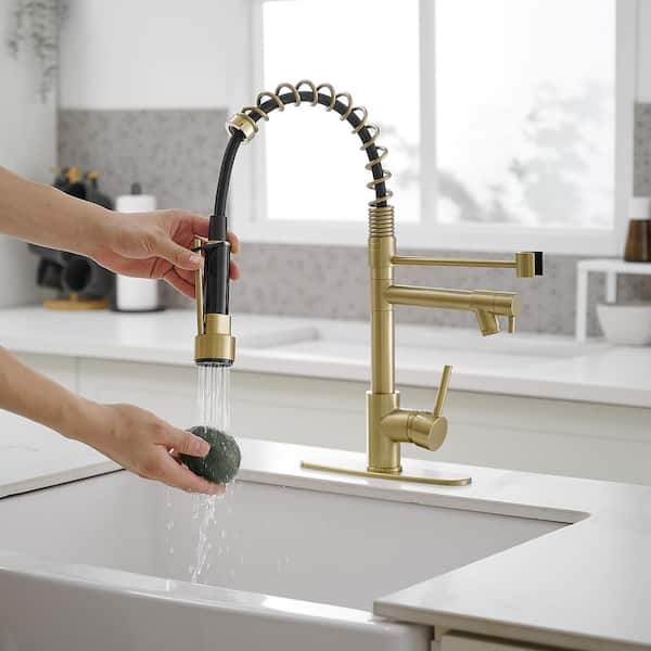 Pro Style Spring Single Handle Brushed Gold 18.4 in. H Dual Spout Pull-Down Kitchen Faucet W/ 180 Swivel