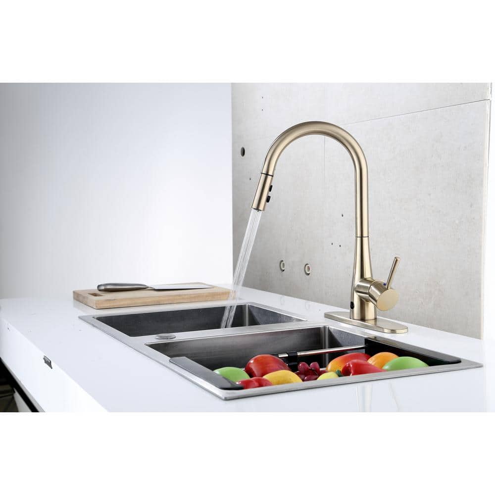 Norwich Matte Gold High-Arc Pull-Down Kitchen Faucet