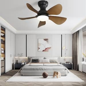 29 in. Small Indoor/Outdoor Modern Ceiling Fan with 6-Speed DC Remote Control and Reversible Motor(Black)