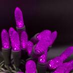 Pink M8 LED Lights with 4 in. Spacing (Set of 50)