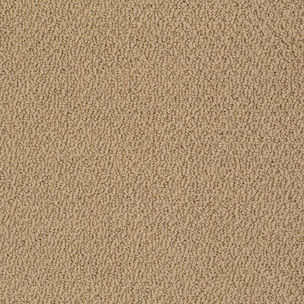 8 in. x 8 in. Loop Carpet Sample - Lightbourne - Color Chestnut