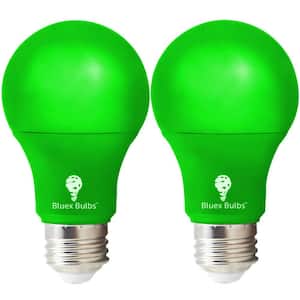 60-Watt Equivalent A19 Decorative Indoor/Outdoor LED Light Bulb in Green (2-Pack)