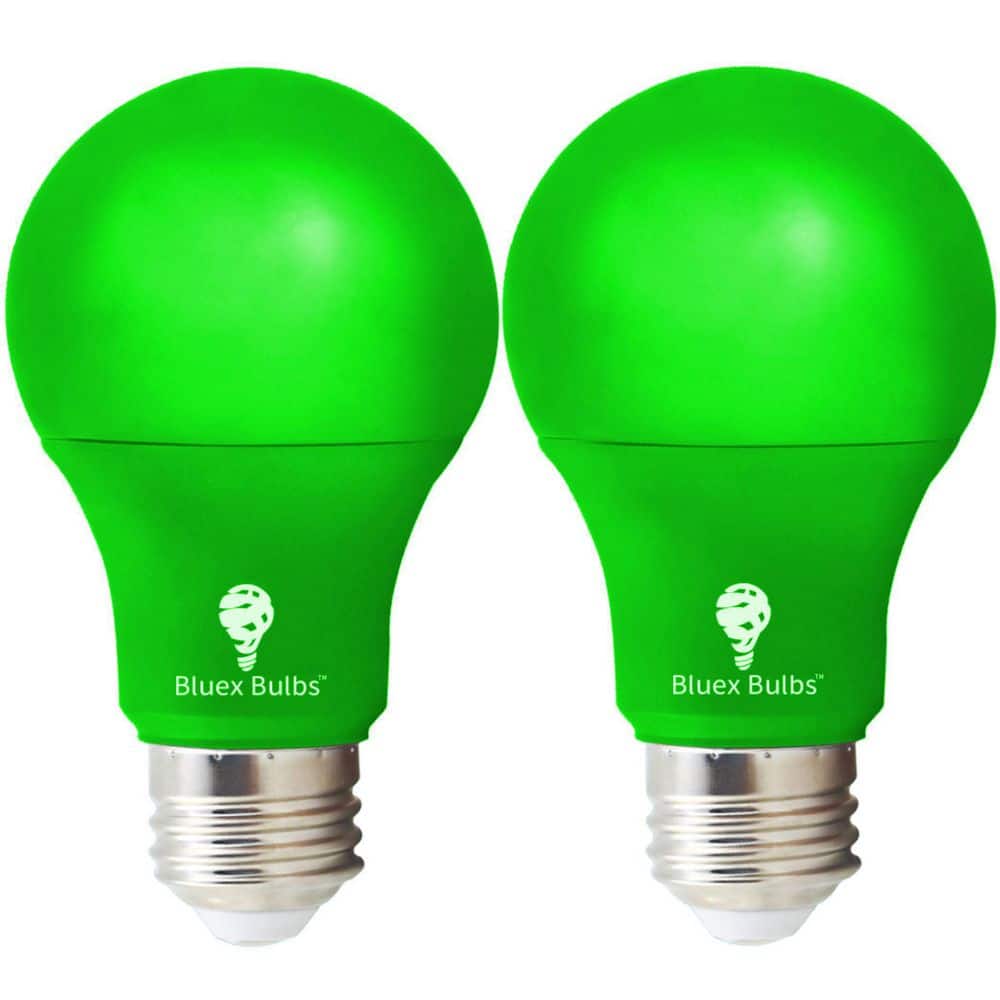 60-Watt Equivalent A19 Decorative Indoor/Outdoor LED Light Bulb in Green (2-Pack) price history on PriceWatchPro
