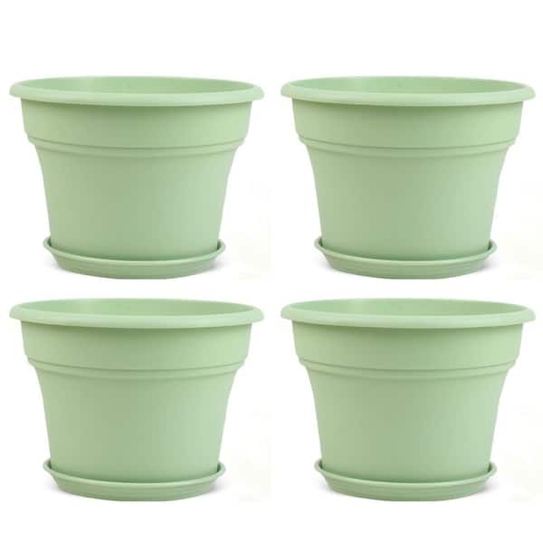 house plant potting soil Westland Houseplant Potting Mix 25L | Polhill Garden Centre