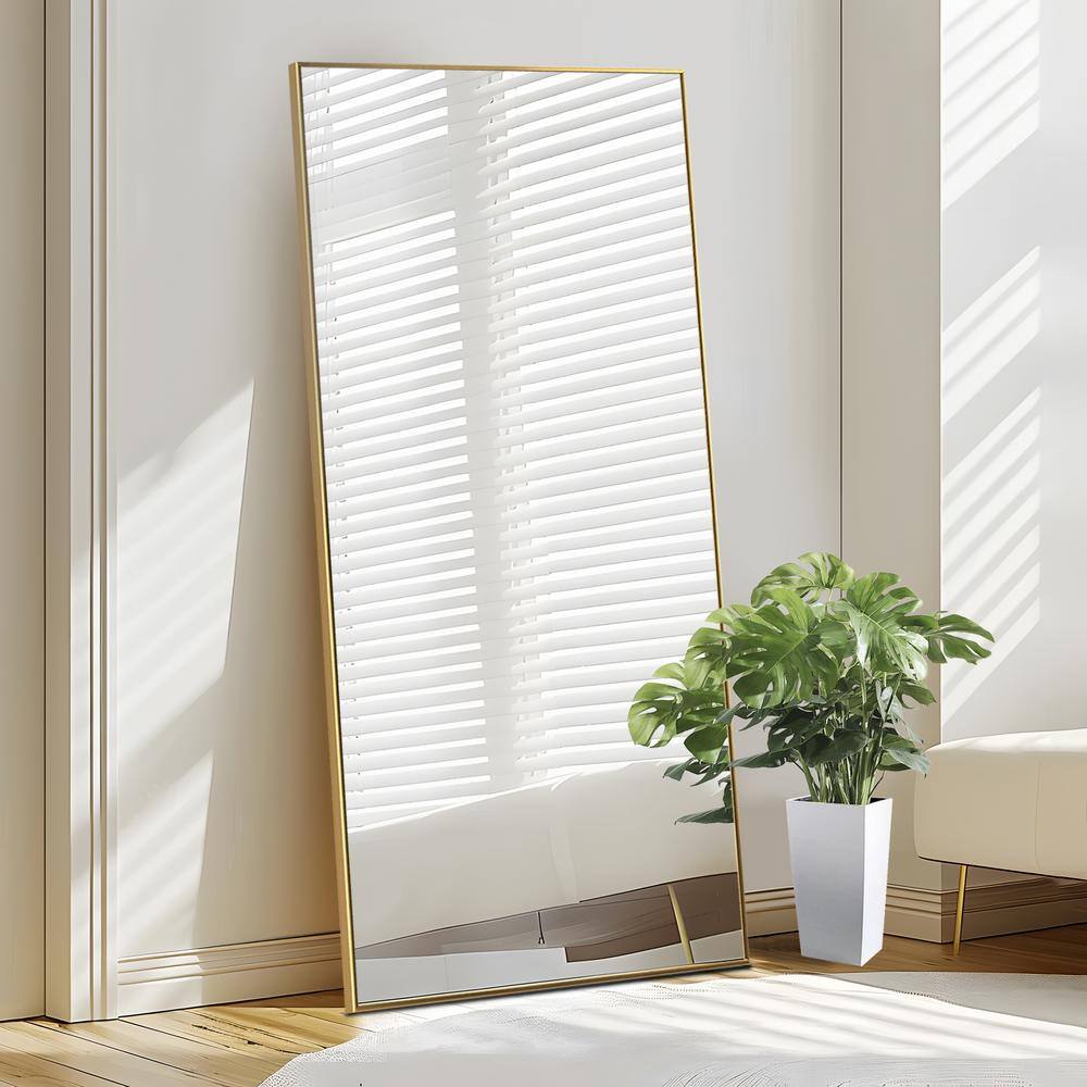 27 in. W x 63 in. H Rectangular Metal Framed Full Length Wall Mirror Free S