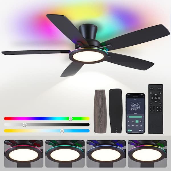 52 in. Indoor/Outdoor Modern Flush Mount Black 6-Speed Ceiling Fan with RGB LED Light and Remote/APP Control