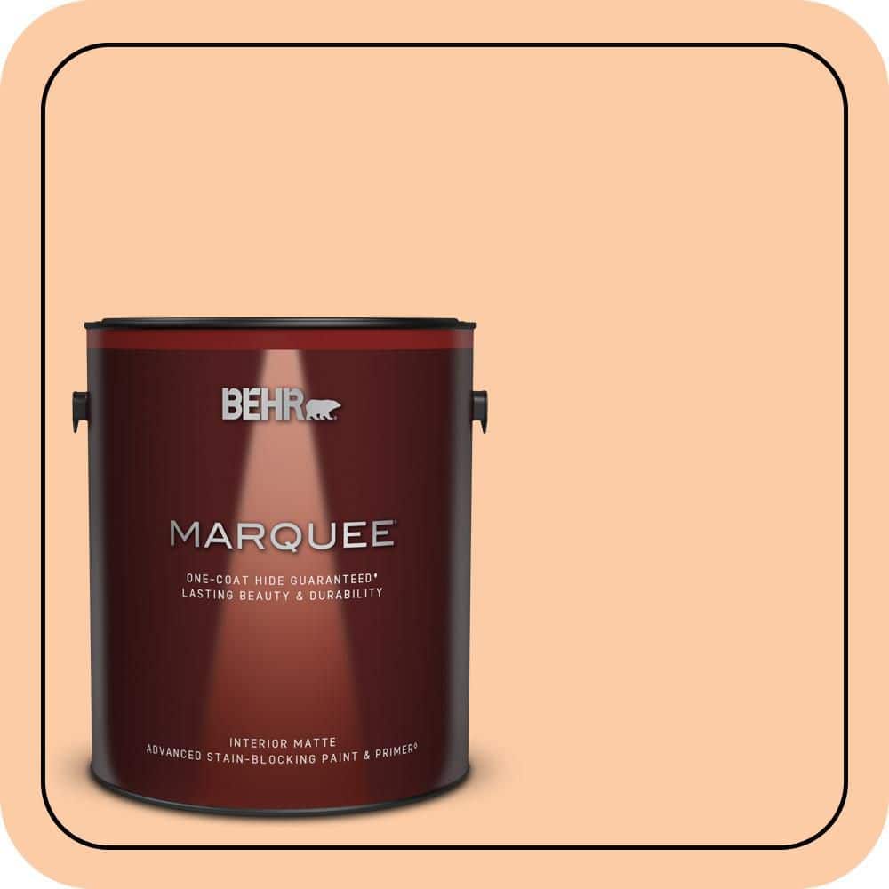 1 gal. #270C-3 Coral Confection Matte Interior Paint & Primer price history on PriceWatchPro