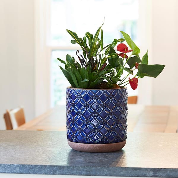 Home Depot: 8″ Blue Ceramic Indoor Pot on sale for $4.98