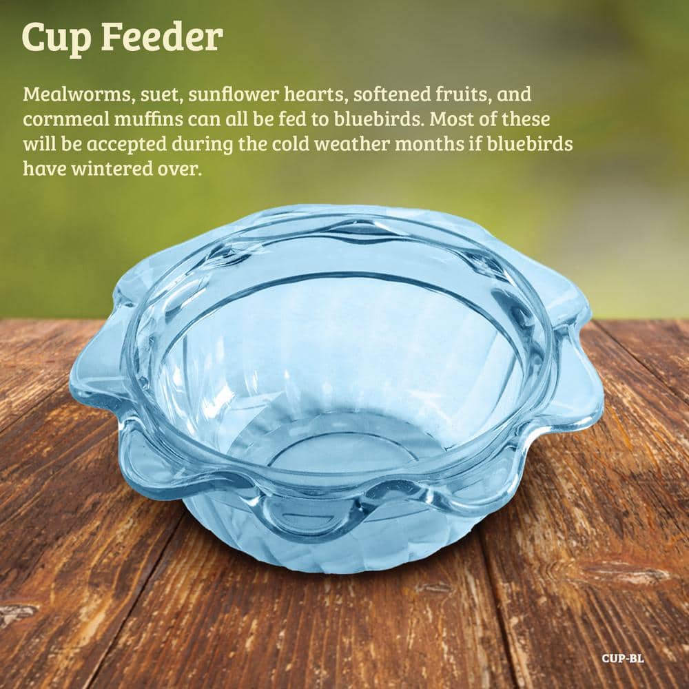 Blue Hanging Metal and Plastic Bird Feeder with Acrylic Cup