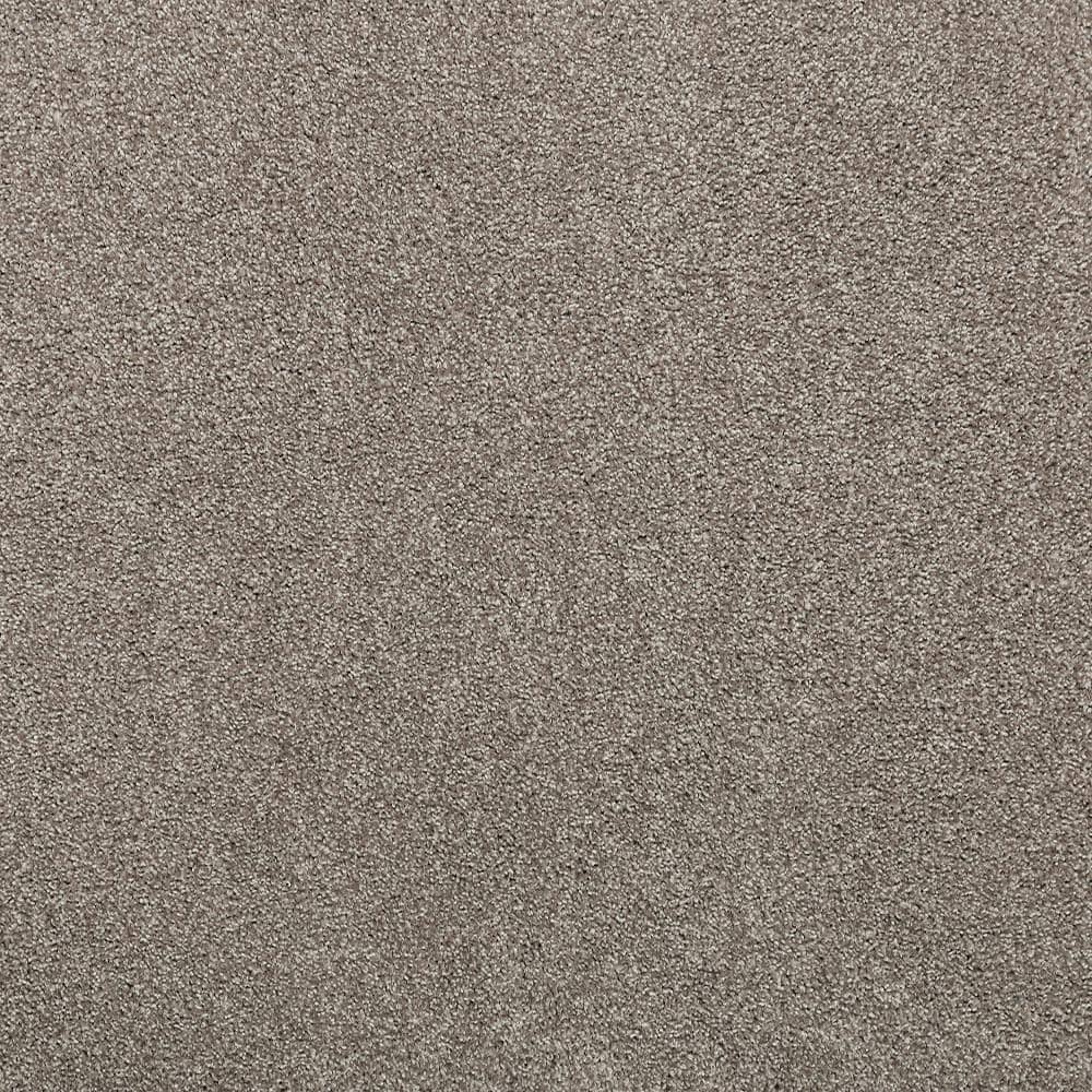 8 in. x 8 in. Texture Carpet Sample - Plush Dreams I -Color Sweet price history on PriceWatchPro