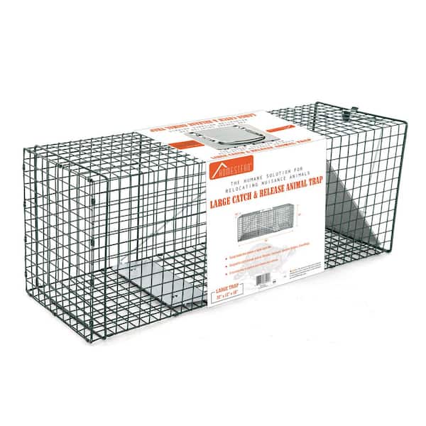 HOMESTEAD 2-Pack Live Animal Trap - Specialized for Raccoons, Opossums,  Groundhogs, Skunks, Feral Cats, Squirrels - Heavy Duty Steel Traps, 1-Door