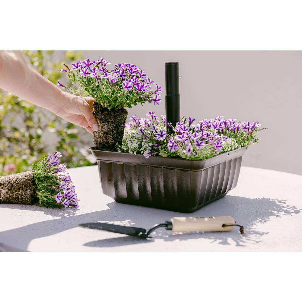 Savannah Brown Square HDPE Outdoor Planter with Drainage Holes