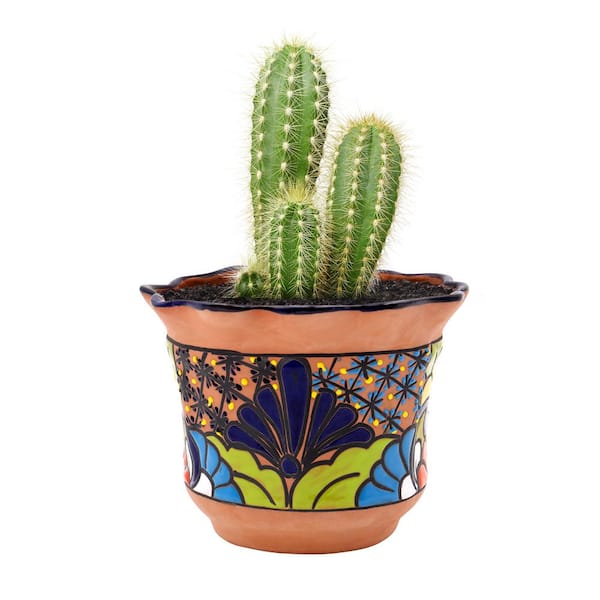 Evergreen 8 in. Talavera Flower Top Ceramic Pot Planter
