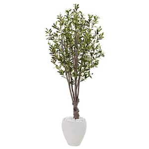 Indoor Olive Artificial Tree in White Oval Planter