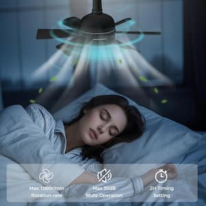 18 in. Black 2-in-1 Dimmable Indoor LED Ceiling Fan Flush Mount Light with 6-Speed and Timer Setting