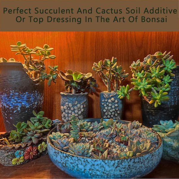 SenQWFa Multi Color Mixed Lava Rock Horticultural Soil 1.5 lb. Bag for Succulent Cactus Bonsai Terrarium Decoration