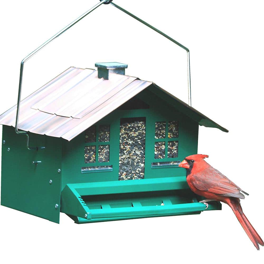 Hands DIY Metal Hanging Bird Feeder Durable Seed Feeder with Removeable  Lids Easy to Install Pet Supplies Bird Accessories for Iindoor and Outdoor  Use 