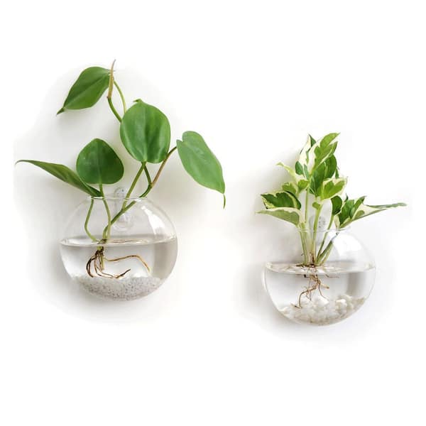 5.12 in. Oblate Wall Hanging Glass Terrariums Planter for Hydroponics Plants, Set of 2, Modern Home Office Decor