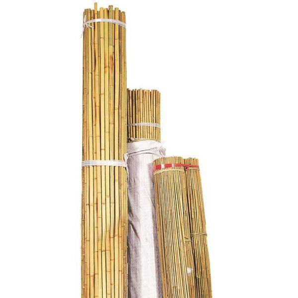 Bond Manufacturing 10 ft. x 1 in. Natural Bamboo (Package of 50)