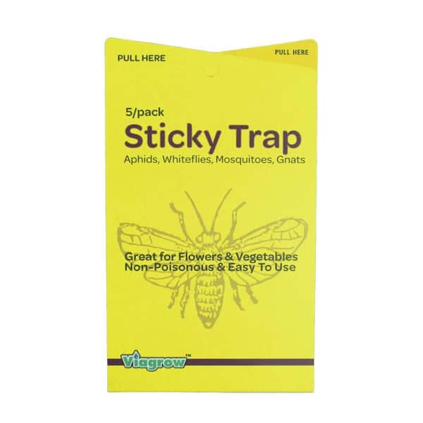 Viagrow Dual-Sided Yellow Sticky Traps for Flying Plant Insects (5-Pack / 25 traps)