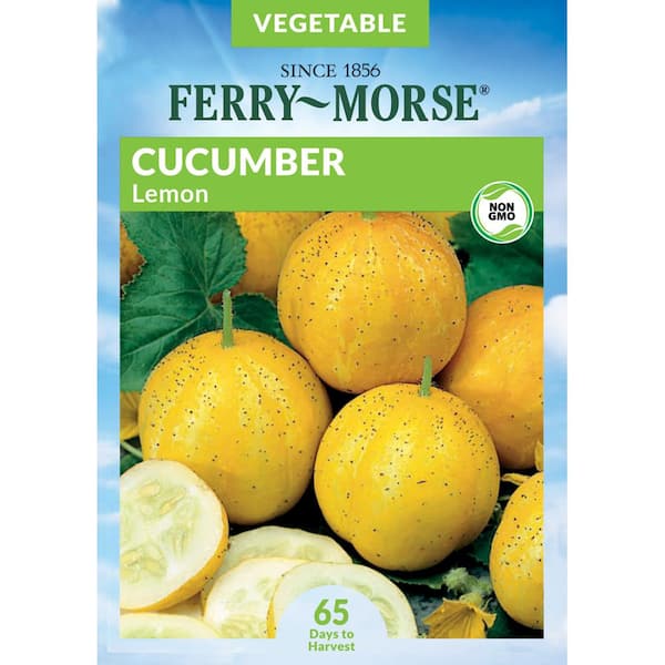 Ferry-Morse Cucumber Lemon Fruit Seed