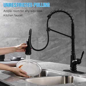 Single Handle Pull Down Sprayer Kitchen Faucet with Deckplate Included and 4 Spray in Matte Black
