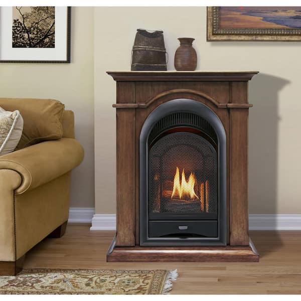 ProCom Vent Free Indoor Stove 25,000 BTU, Free Standing, Dual Fuel Propane  and Natural Gas 170173 - The Home Depot