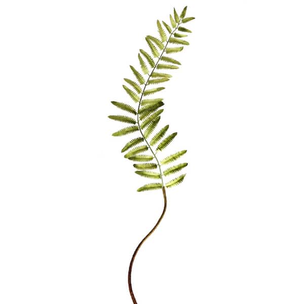 48" Narrow Fern Frond