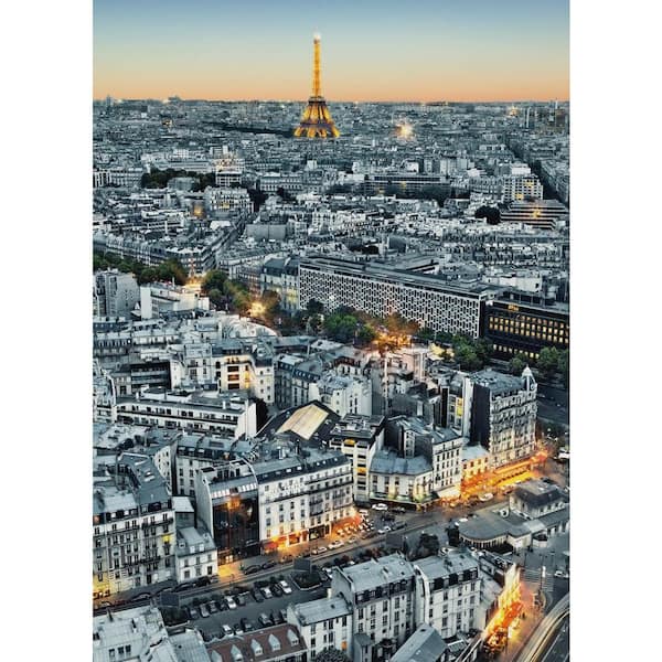 Ideal Decor 100 in. x 72 in. Paris Aerial View Wall Mural