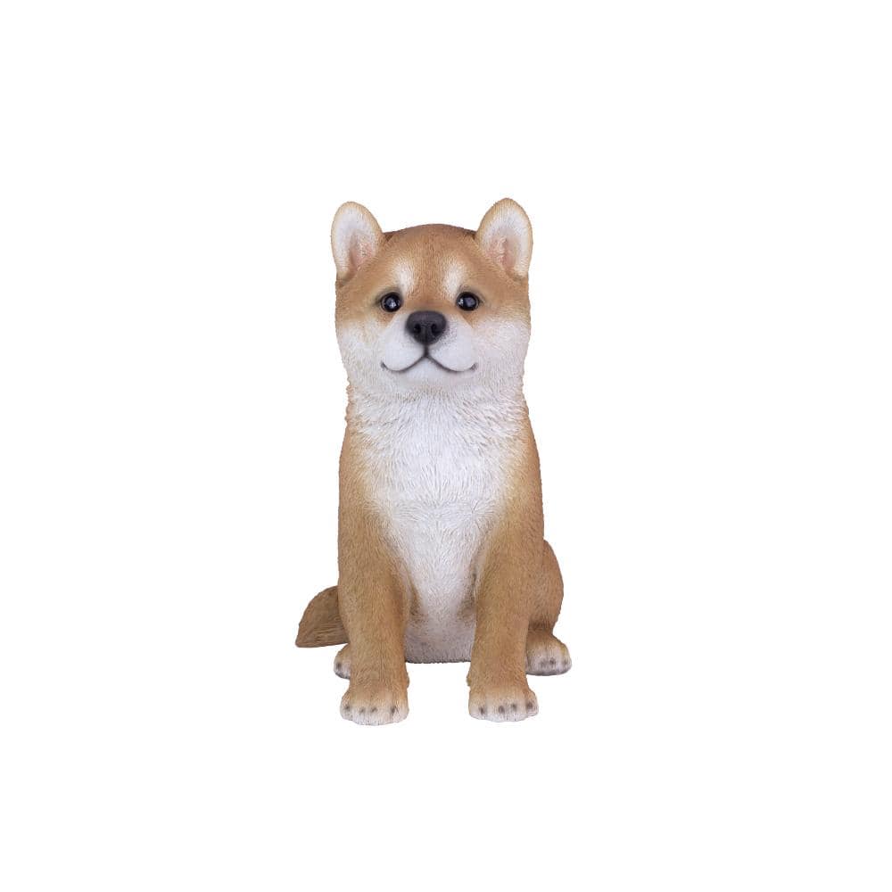SoReal Brown Shiba price history on PriceWatchPro