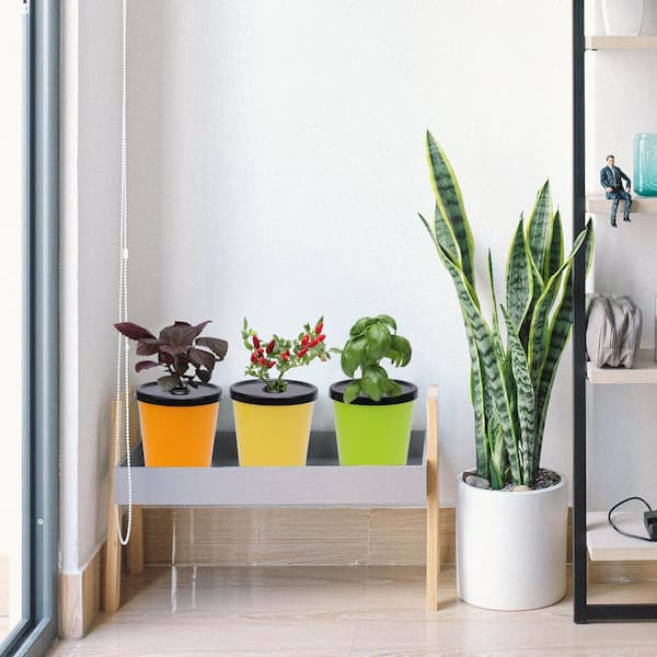 .N/A 8-Pack Hydroponic Planter Kit with 24 Growing Sponges, Indoor/Outdoor Mini Buckets for Herbs, Vegetables, and Flowers