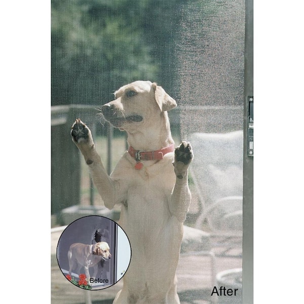 60 in. x 100 ft. Black Pet Screen