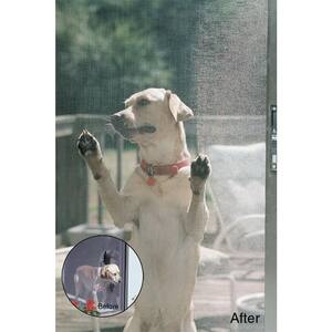 96 in. x 50 ft. Black Pet Screen