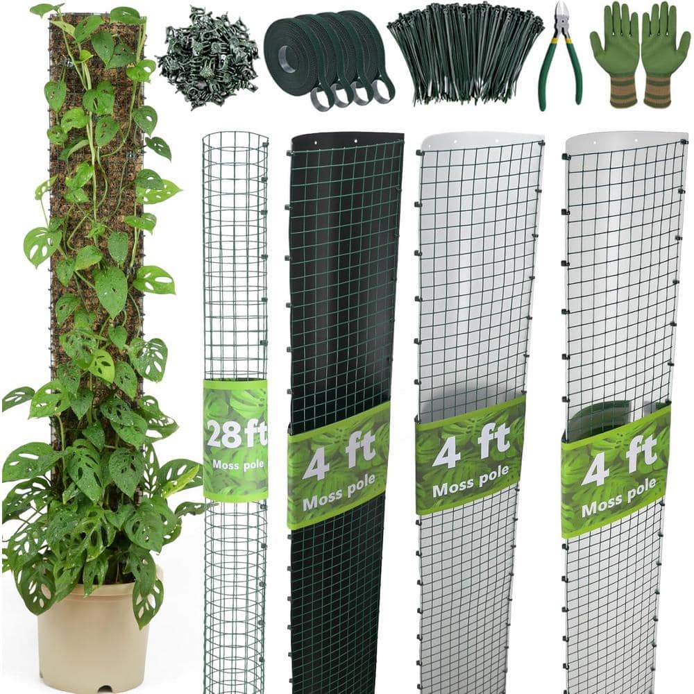 【Fumiti】21-22 MOSS STICK【70 SW multi-colored-phewnyzo-tomato-