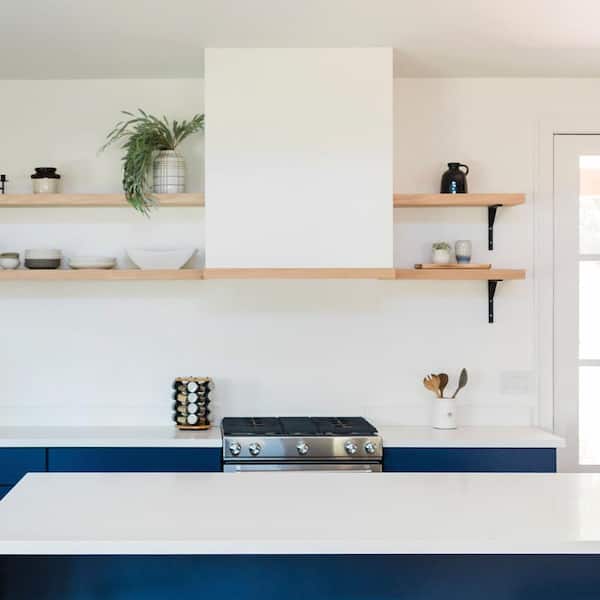 Pro-Style 42 in. 500 CFM Insert Range Hood (18.5 in. Deep) Convertible with Low Noise Operation in Stainless Steel