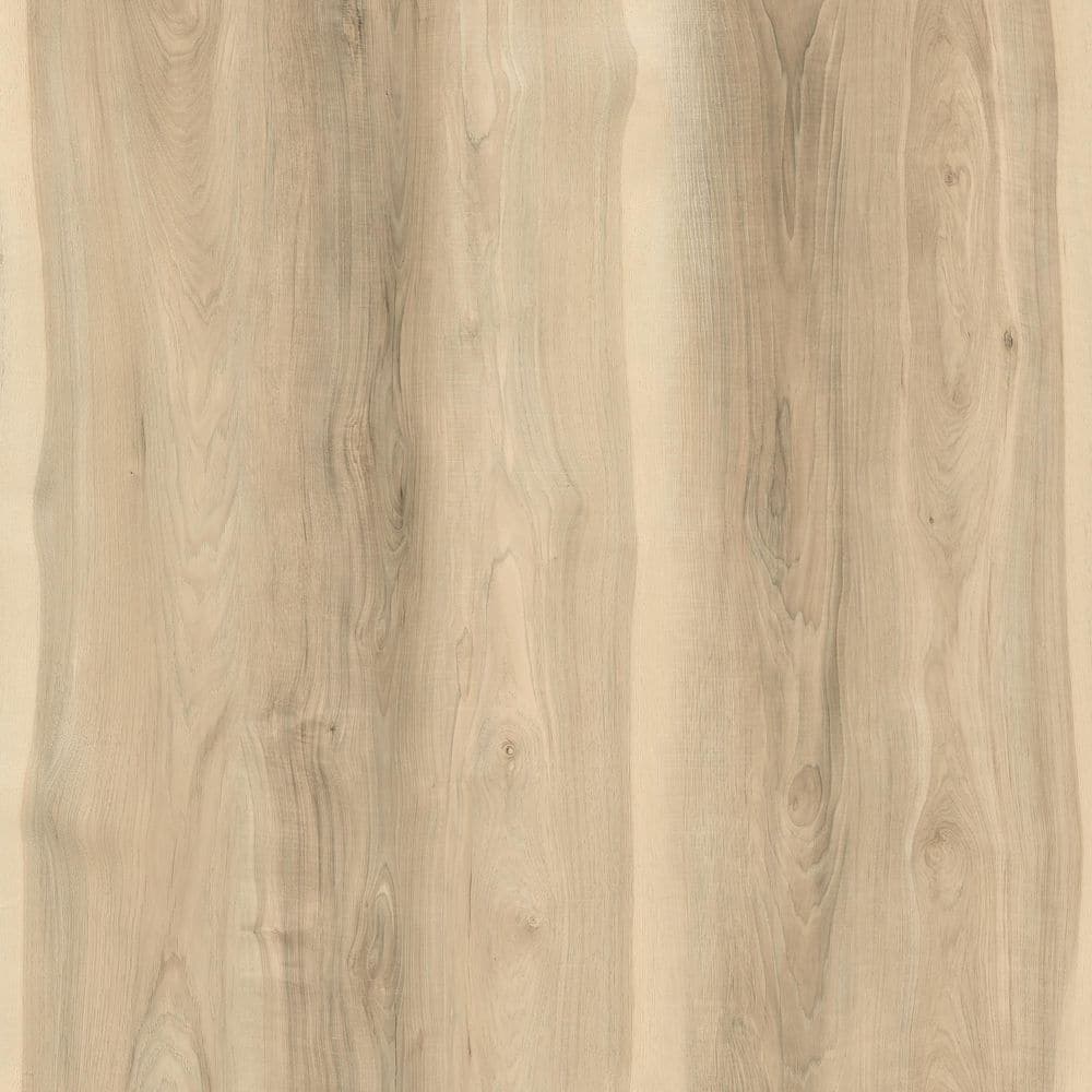 Proteco Take Home Sample-Newland Hickory 22 MIL x 9 in. W x 12. L